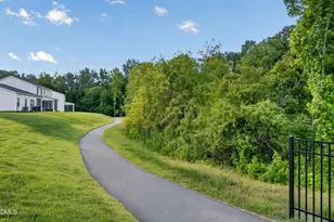 246 Blossom Fld Wy, Angier, NC 27501 - Photo 35