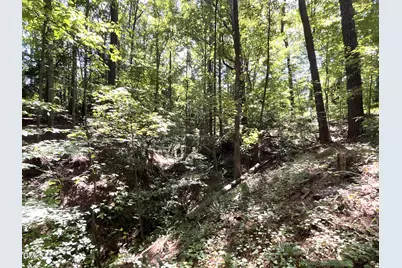 0 Green Lane, Clayton, NC 27520 - Photo 13