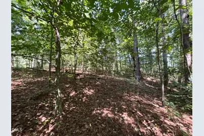 0 Green Lane, Clayton, NC 27520 - Photo 7