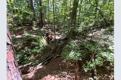 0 Green Lane, Clayton, NC 27520 - Photo 15