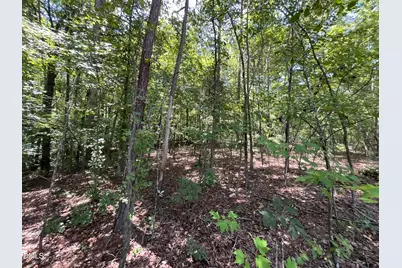 0 Green Lane, Clayton, NC 27520 - Photo 11