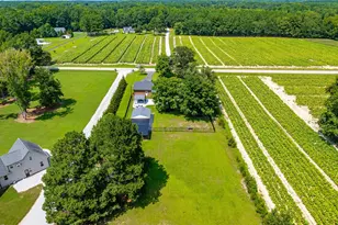 2331 Twin Acres Rd, Clayton, NC 27520 - Photo 49