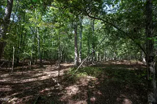 1716 Brassfield Rd, Raleigh, NC 27614 - Photo 33