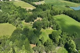 1026 Delma Grimes Rd, Coats, NC 27521 - Photo 59