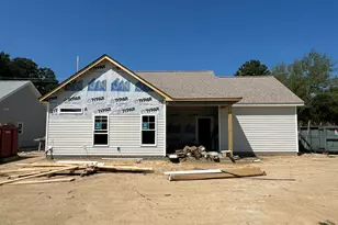 281 Pearce St, Princeton, NC 27569 - Photo 13