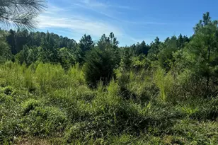 2220 New Sharon Church Rd, Hillsborough, NC 27278 - Photo 17