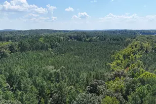 2220 New Sharon Church Rd, Hillsborough, NC 27278 - Photo 19
