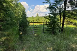 2220 New Sharon Church Rd, Hillsborough, NC 27278 - Photo 7