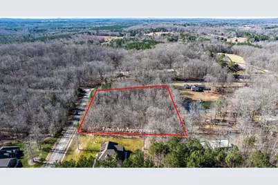 49 Larkington Drive, Siler City, NC 27344 - Photo 5
