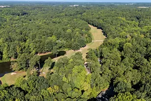 6092 Dunes Dr, Sanford, NC 27332 - Photo 41