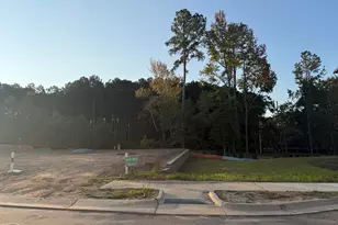967 Steel Mill Ln, Apex, NC 27523 - Photo 3