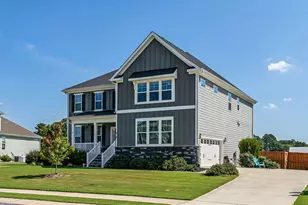 336 Dungannon Lp, Clayton, NC 27520 - Photo 3