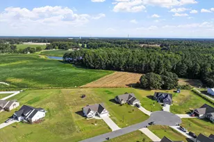 17 Tanseyleaf Dr, Smithfield, NC 27577 - Photo 31