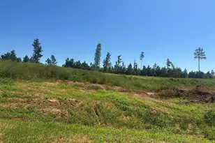 Lot 6 0 W Old Spring Hope Rd, Spring Hope, NC 27882 - Photo 1
