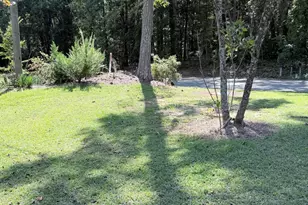 5517 Barbee Chapel Rd, Chapel Hill, NC 27517 - Photo 3
