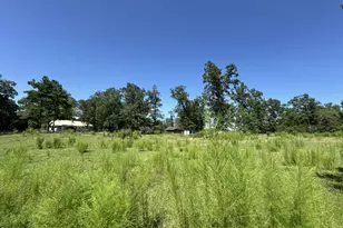1894 Glovers Church Rd, Bennett, NC 27208 - Photo 15