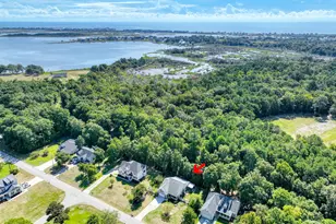 1407 Chadwick Shores Dr, Sneads Ferry, NC 28460 - Photo 33