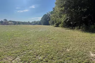 4035 Doyle Rd, Zebulon, NC 27597 - Photo 5