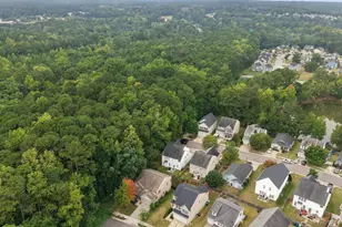 1602 Flowering Peach Trail, Raleigh, NC 27610 - Photo 49