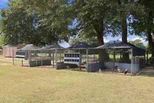 214 Fred McLeod Ln, Coats, NC 27521 - Photo 49