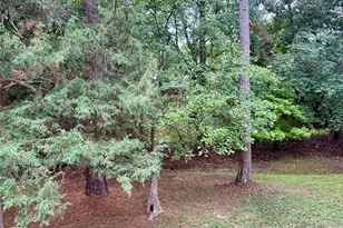 6317 Winthrop Dr, Raleigh, NC 27612 - Photo 53