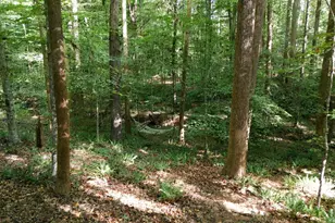 112 Poplar St, Chapel Hill, NC 27516 - Photo 27