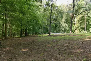 4592 Boogaboo Trail, Rougemont, NC 27572 - Photo 47