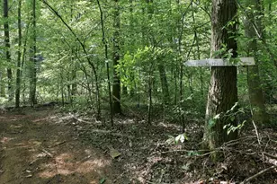 4592 Boogaboo Trail, Rougemont, NC 27572 - Photo 39