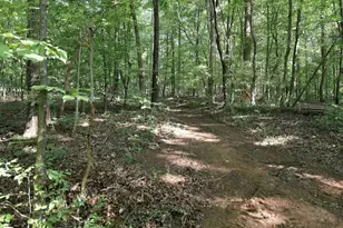 4592 Boogaboo Trail, Rougemont, NC 27572 - Photo 37