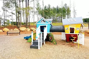451 Vine Pkwy, Pittsboro, NC 27312 - Photo 13