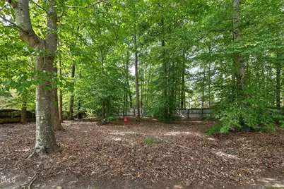 3914 Sterling Ridge Lane, Durham, NC 27707 - Photo 59