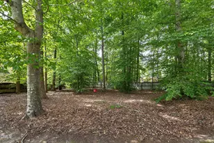 3914 Sterling Ridge Ln, Durham, NC 27707 - Photo 59