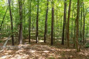 3162 Twig Ct, Wake Forest, NC 27587 - Photo 21