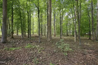 605 Canotage Court, Cedar Grove, NC 27231 - Photo 19