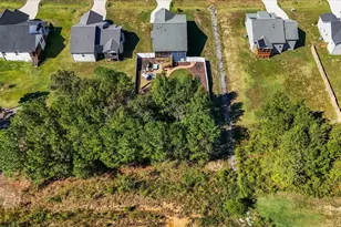 354 Placid Pond Dr, Broadway, NC 27505 - Photo 43