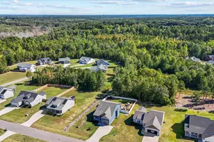 354 Placid Pond Dr, Broadway, NC 27505 - Photo 41