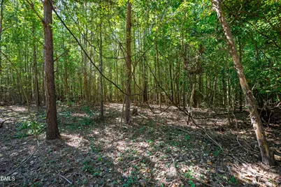 0 Buckhorn Road, Sanford, NC 27330 - Photo 31