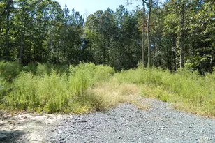 3036 Bennett Siler City Rd, Bennett, NC 27208 - Photo 1