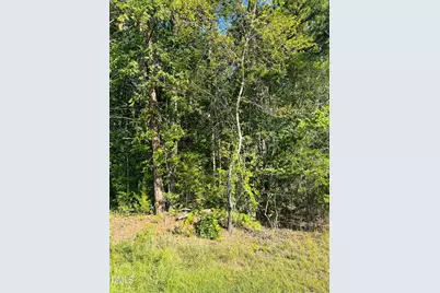 4 Salem Pond Drive, Hurdle Mills, NC 27541 - Photo 3