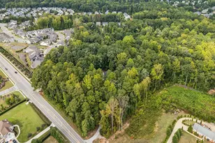 3533 Arthur Pierce Rd, Apex, NC 27539 - Photo 29