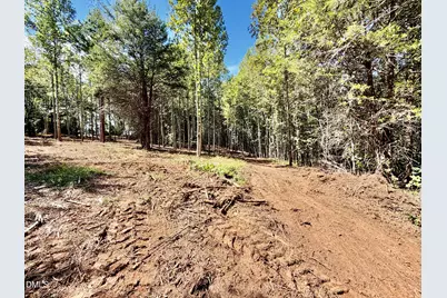 3.97 Acres Woodsdale Road, Roxboro, NC 27573 - Photo 7