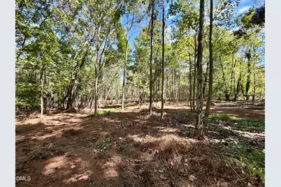 3.97 Acres Woodsdale Road, Roxboro, NC 27573 - Photo 3