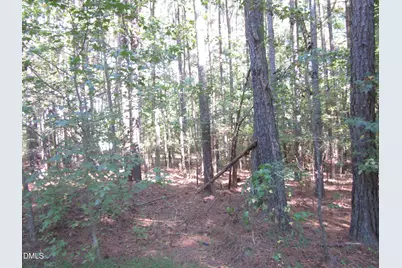 0 Family Manor Lane, Wendell, NC 27591 - Photo 5