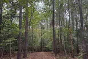 3829 Standing Pine Ln, Zebulon, NC 27597 - Photo 1