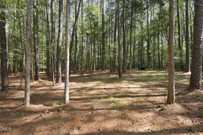 Lot 46 Pool Rock Plantation Lane, Henderson, NC 27537 - Photo 7