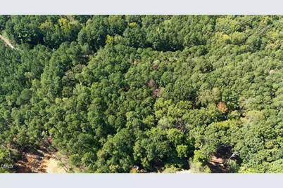 Lot 46 Pool Rock Plantation Lane, Henderson, NC 27537 - Photo 15