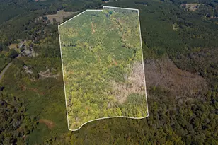 0 McLeod Rd, Broadway, NC 27505 - Photo 1