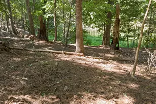 2309 Cool Springs Rd, Sanford, NC 27330 - Photo 37