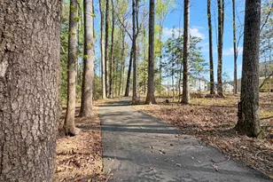 197 Eagle Rock Dr, Lillington, NC 27546 - Photo 49
