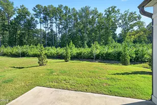 945 Coast Grade St, Wake Forest, NC 27587 - Photo 43